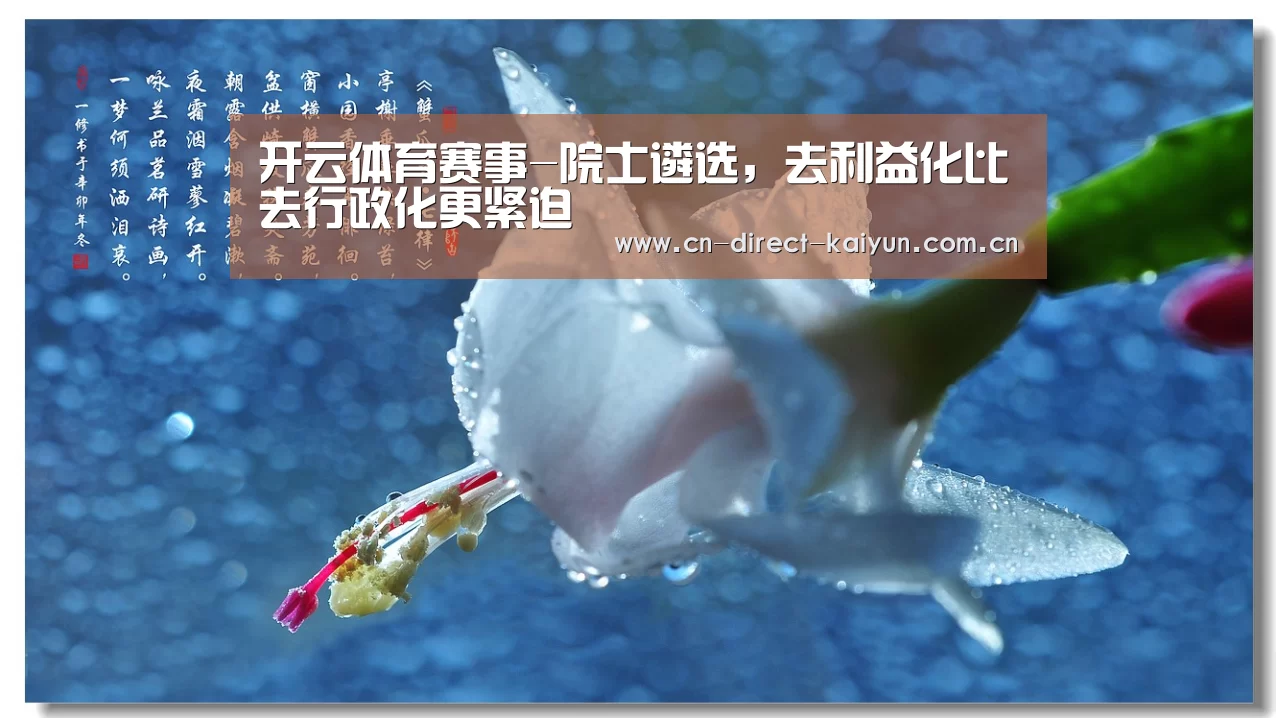 开云比分