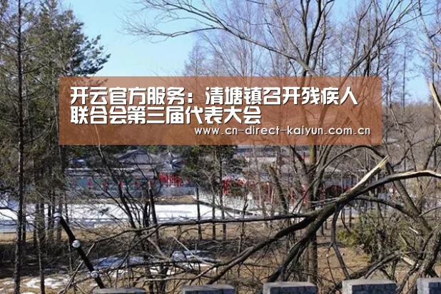 开云比分