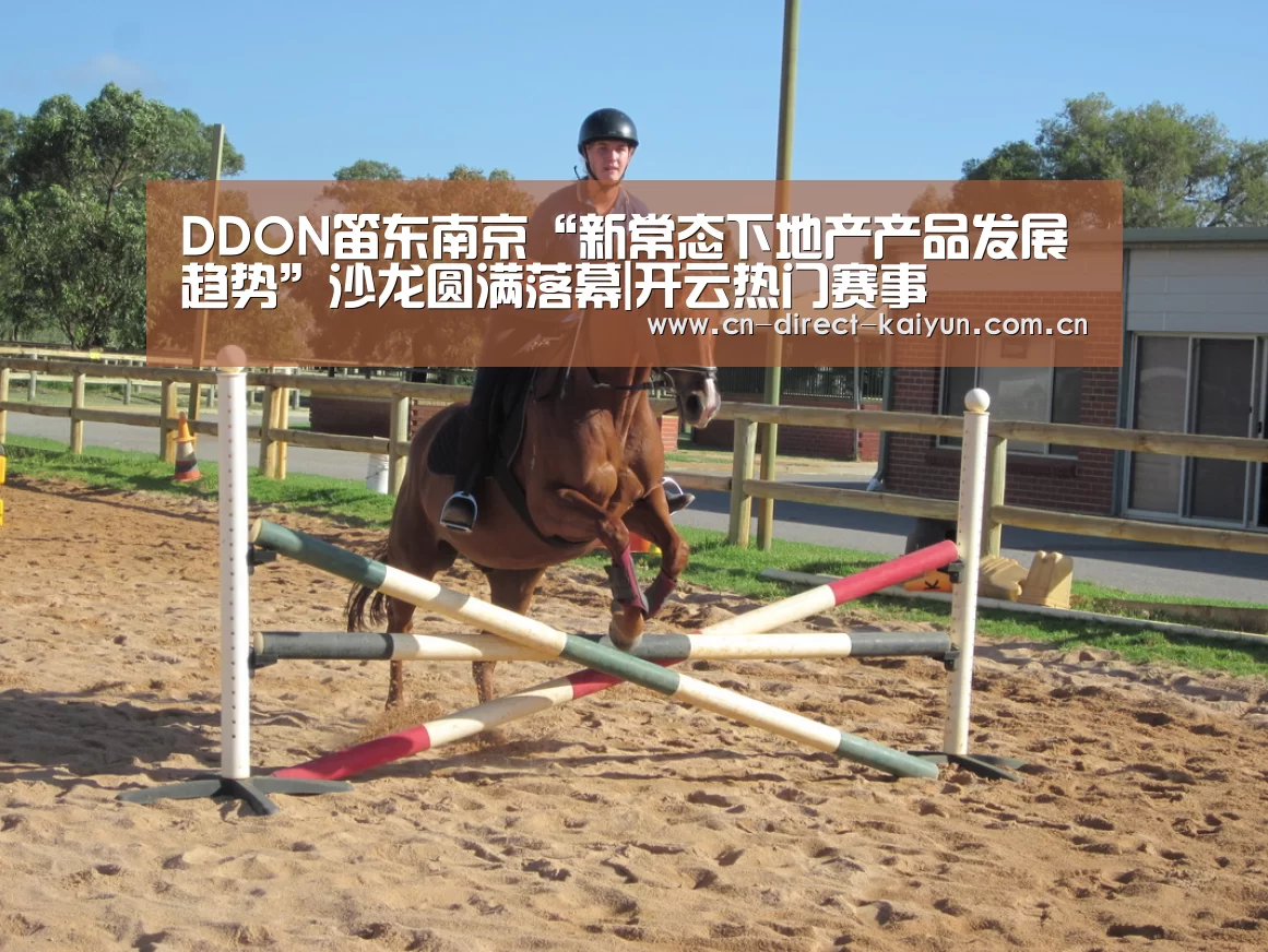 DDON笛东南京“新常态下地产产品发展趋势”沙龙圆满落幕|开云热门赛事(图2) 开云热门赛事
