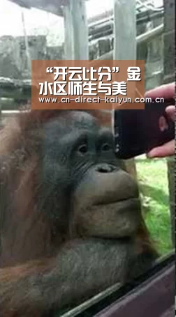 开云体育赛事